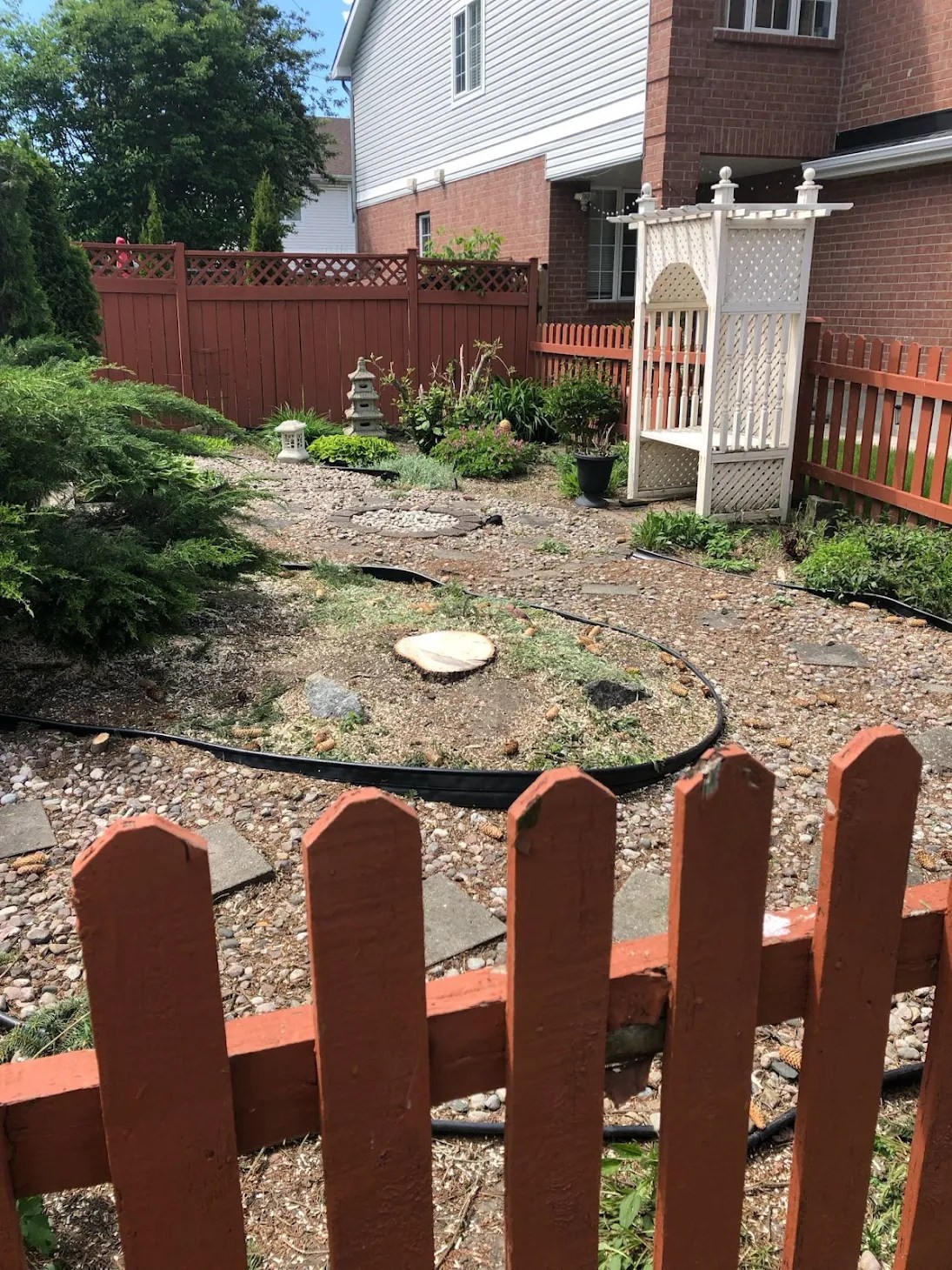 Jenn Ong after tree removal by Brandon